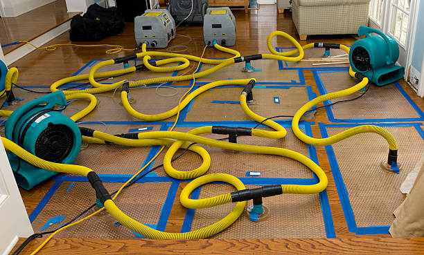 Professional Water Damage Repair technician working in Hayward, WI